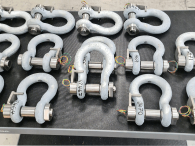 12te Telemetry Load Shackles